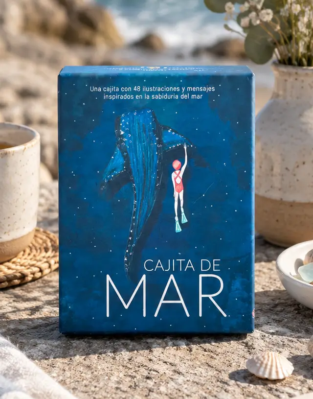 La Cajita de Mar sobre una roca junto al mar, con una taza, flores secas y conchas.